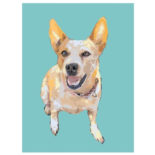Собака на голубом фоне Раскраска картина по номерам на холсте