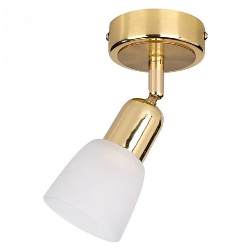 Спот Escada 5039/1PA E14*40W Gold/White FABIUS