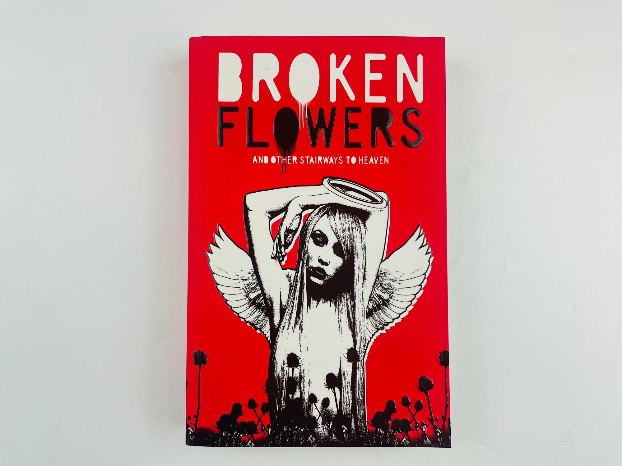 Книга Broken Flowers (Robert Drake) - фото №9