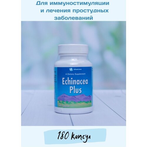 Эхинацея Плюс, Echinacea Plus, Vitaline, 182 мг