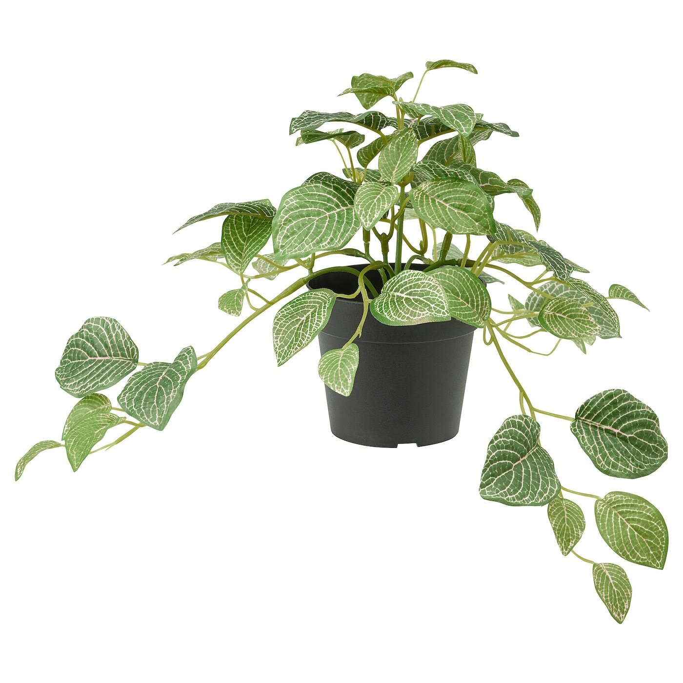 Искусственное растение в горшке икеа фейка (IKEA FEJKA), фиттония, 28 см, зеленый