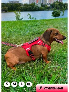 Основная фотография от вендора