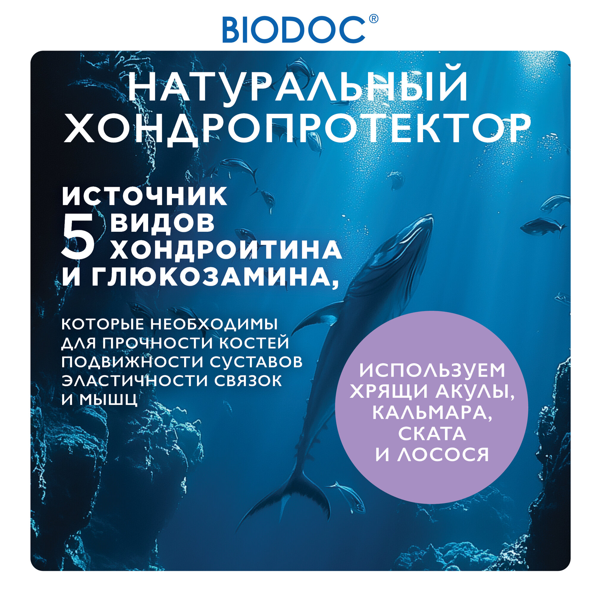 Хондропротекторы БАД комплексный хондропротектор BIODOC для суставов и связок, 120 капсул
