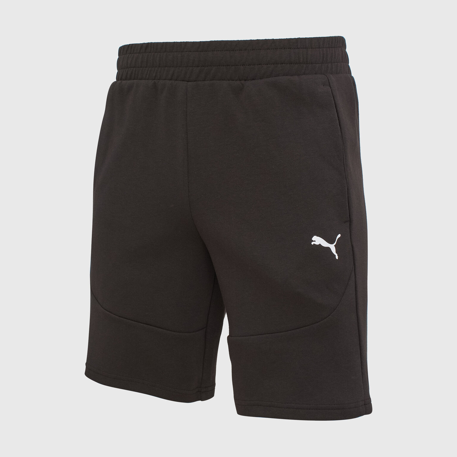 Шорты Pumatech