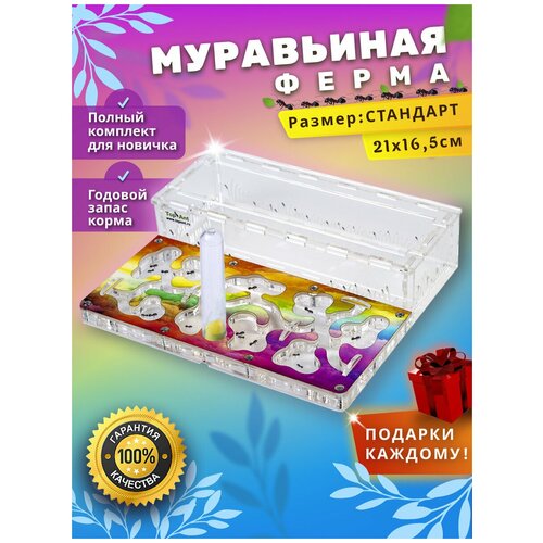 Стандартная муравьиная ферма максимальный комплект