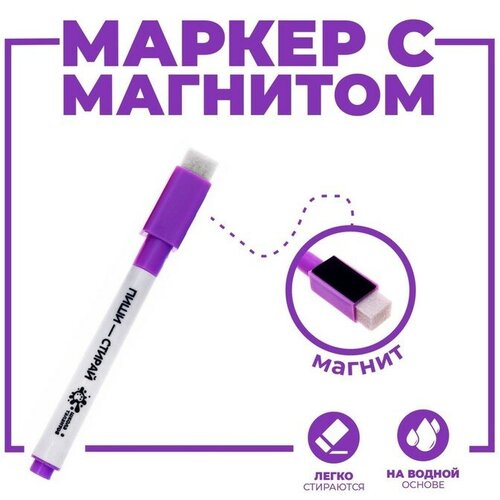 Маркер на водной основе с магнитом и губкой фиолетовый 150₽