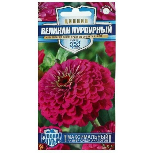 Семена цветов Цинния Великан пурпурный, серия Русский богатырь, 0,3 г 12 упаковок цинния великан пурпурный 0 3г одн 90см гавриш русский богатырь 10 ед товара