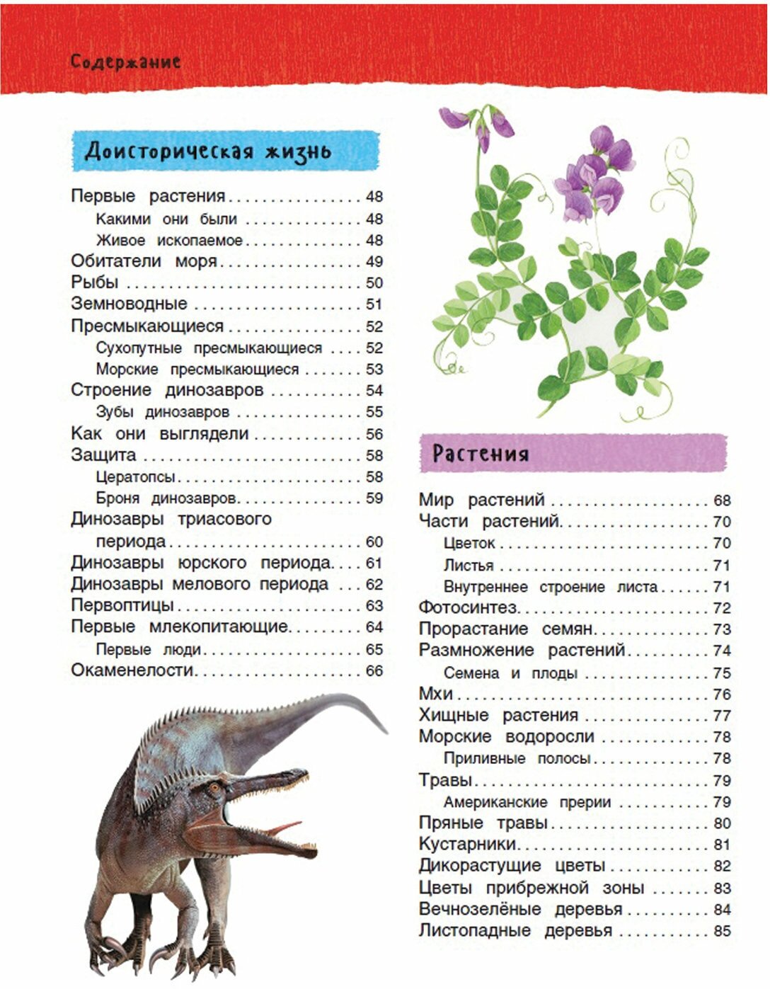 Большая иллюстрированная энциклопедия - фото №19