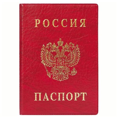 Обложка для паспорта DPSkanc, красный