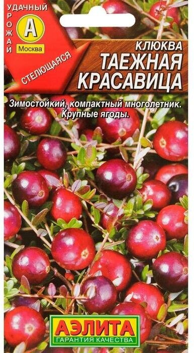 Семена Клюква крупноплодная Таежная красавица 002 г 3 шт