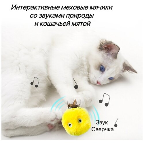 Игрушки для кошек, интерактивный мячик со звуком и кошачьей мяты для кошек