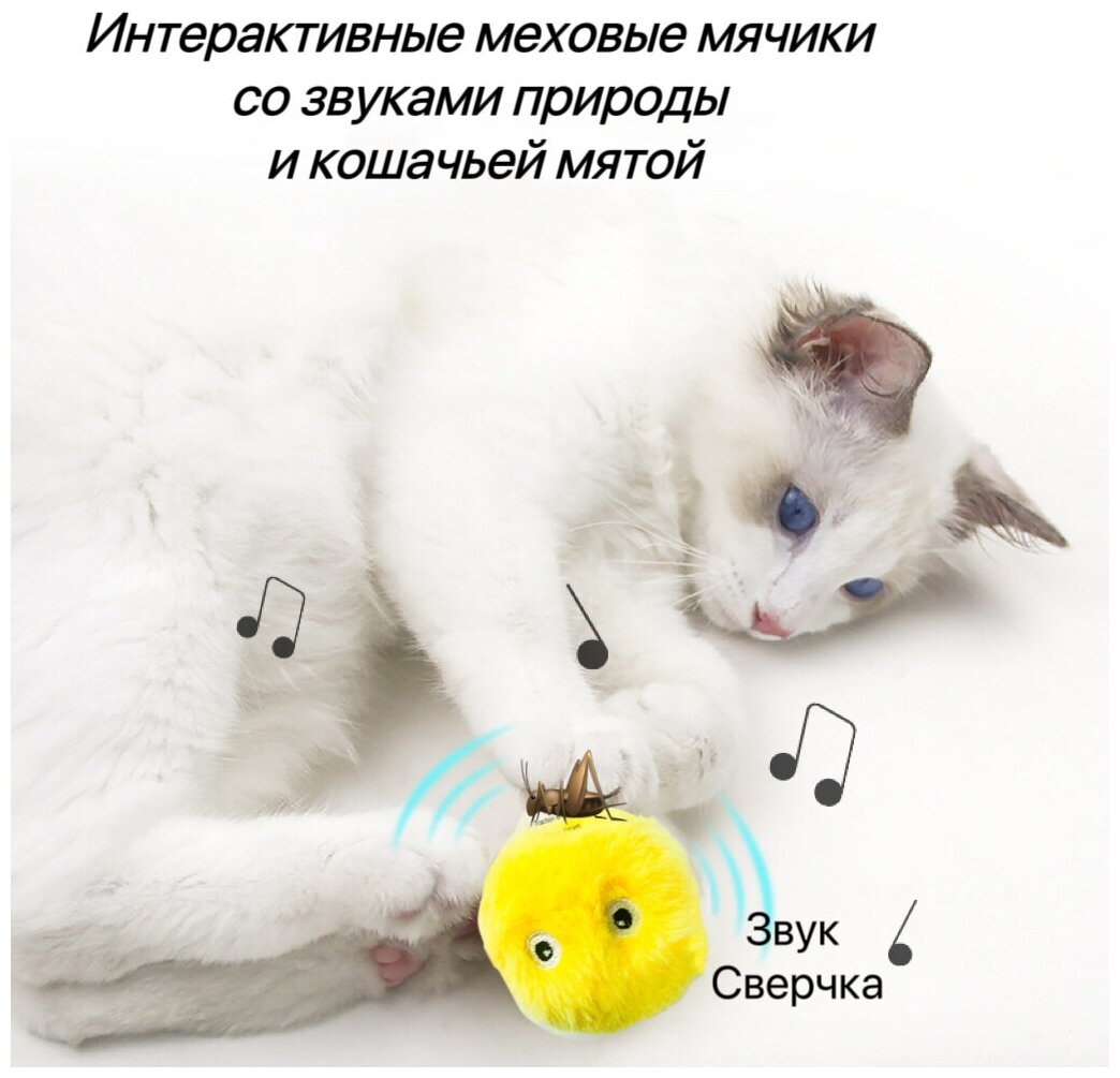 Игрушки для кошек, интерактивный мячик со звуком и кошачьей мяты для кошек - фотография № 1