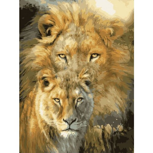 Картина по номерам Лев и львица 40х50 см Hobby Home