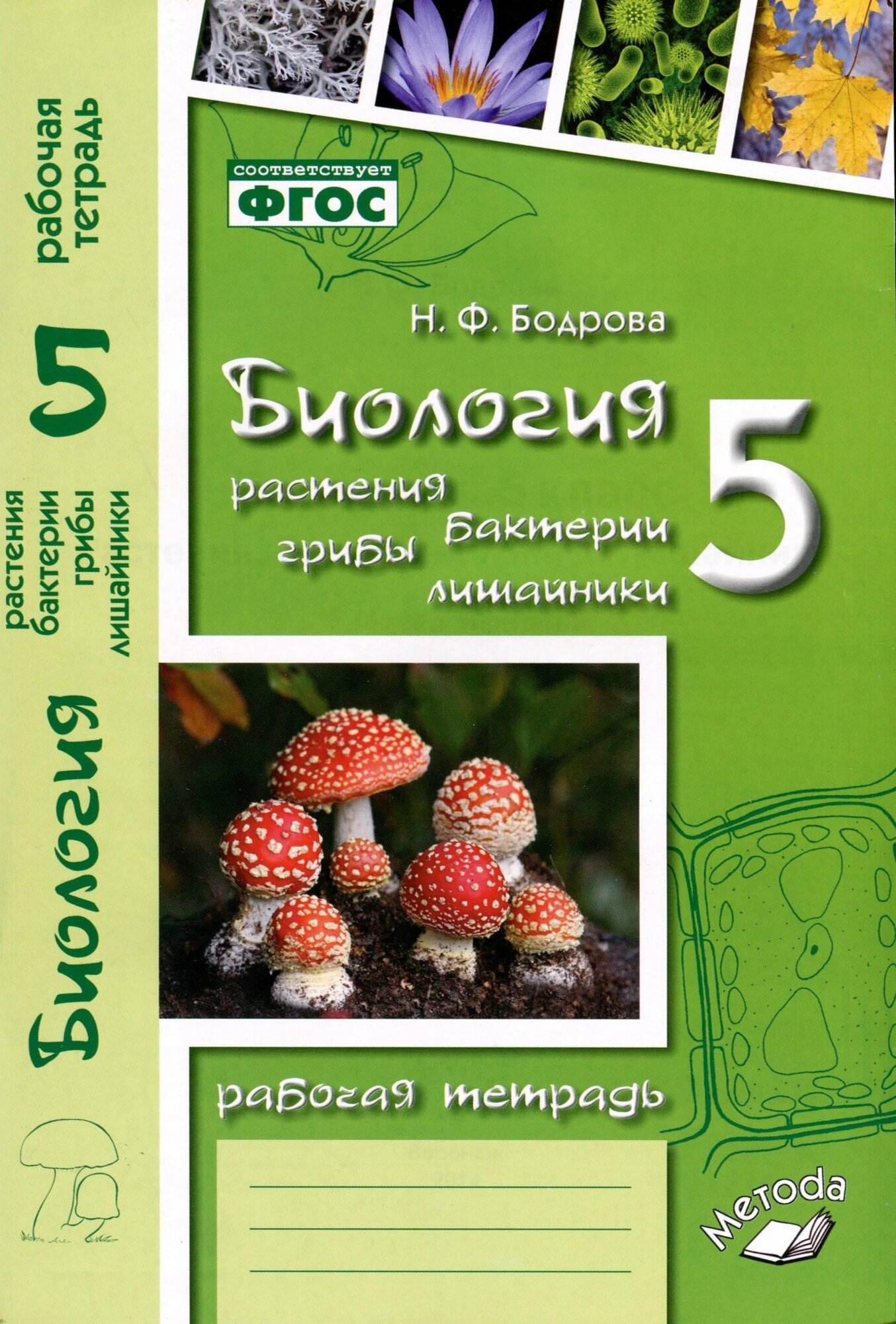 Биология. 5 класс. Растения. Бактерии. Грибы. Рабочая тетрадь к учебнику Д.И. Трайтака и др. - фото №1