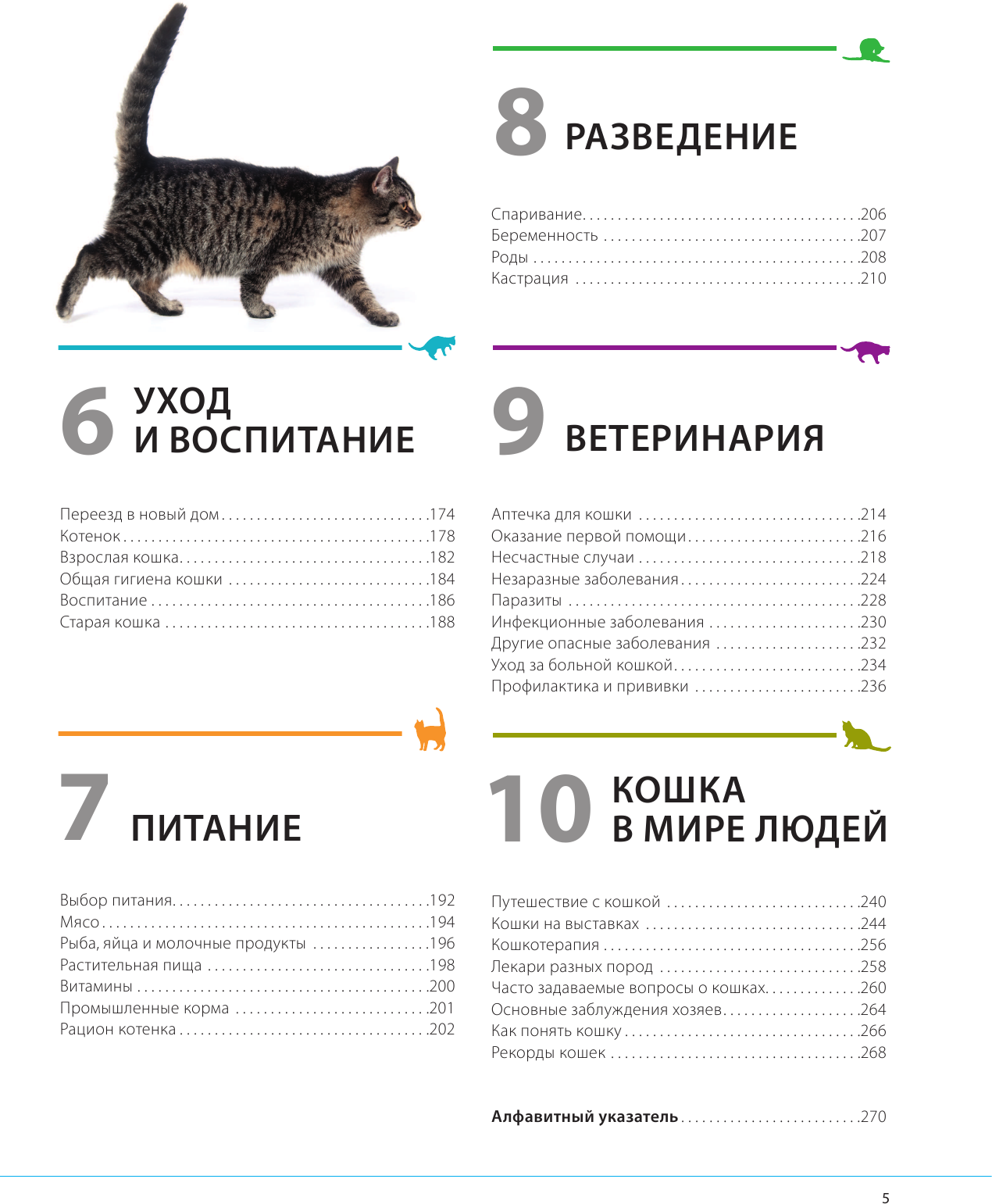 Кошки. Самая полная иллюстрированная энциклопедия - фото №7