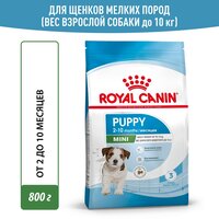 Royal Canin Mini Junior сухой корм для щенков мелких пород - 0,8 кг