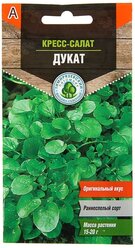 Семена салат кресс-салат Дукат 1г Тимирязевский питомник