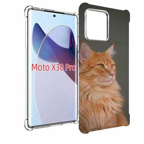 Чехол MyPads кошка мейн кун 1 для Motorola Moto X30 Pro задняя-панель-накладка-бампер