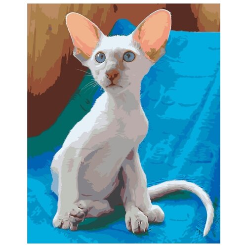 картина по номерам кошка в шляпе 40x50 см Картина по номерам Ориентальная кошка, 40x50 см