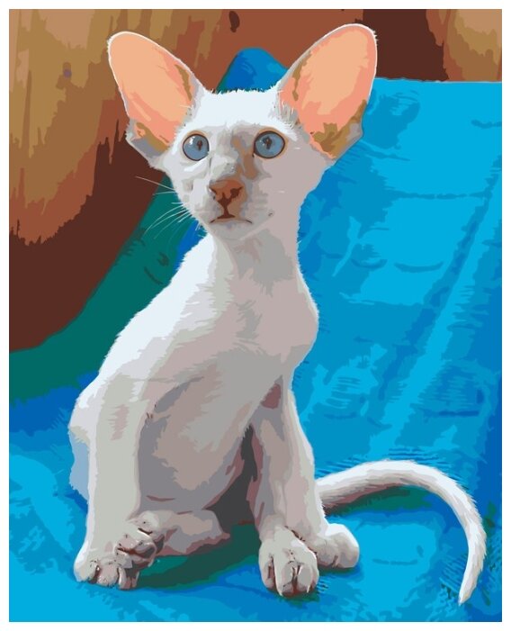 Картина по номерам "Ориентальная кошка", 40x50 см