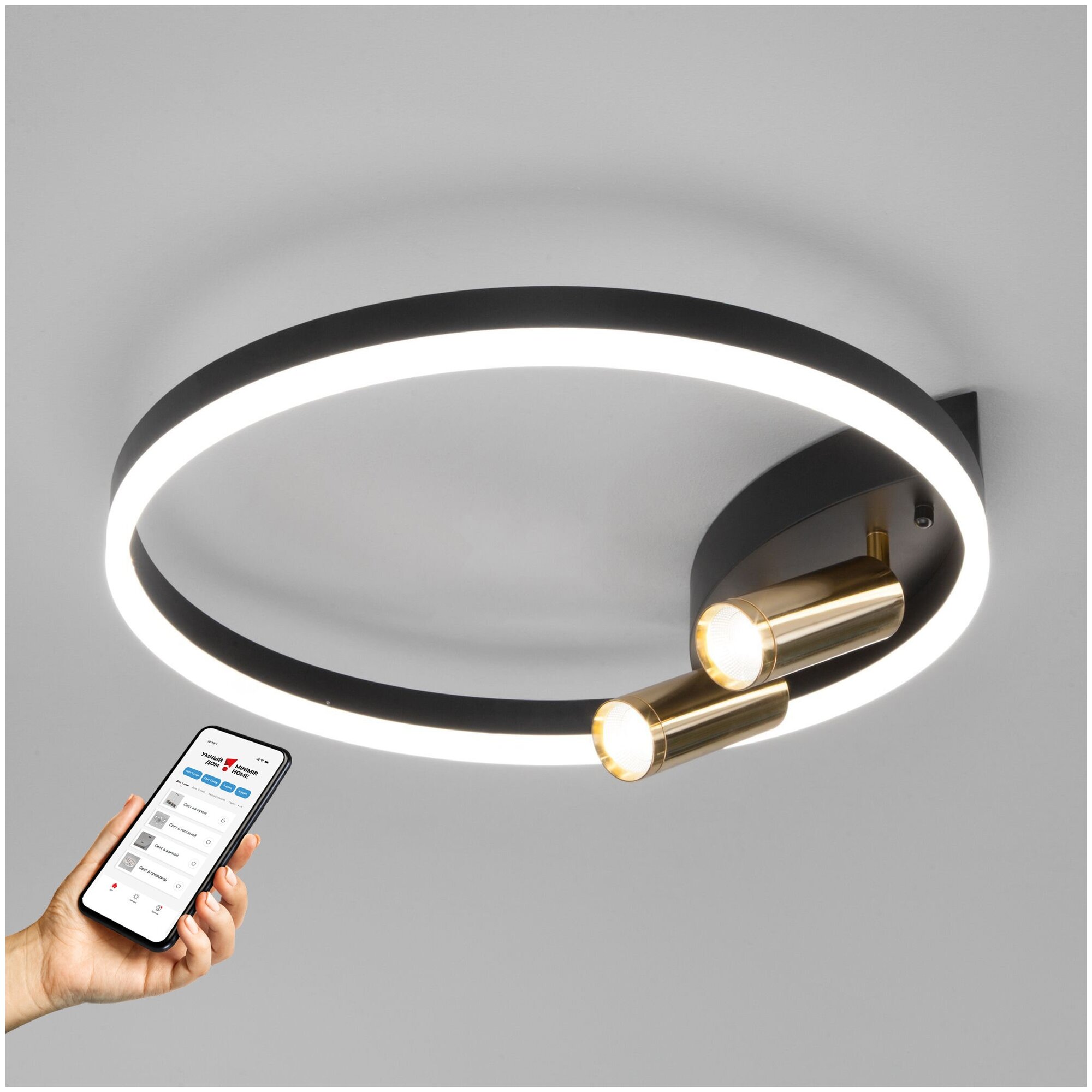 Умная люстра / Потолочный светодиодный светильник с управлением по Wi-Fi Eurosvet Luminari 90247/3 черный / золото Smart Умный дом