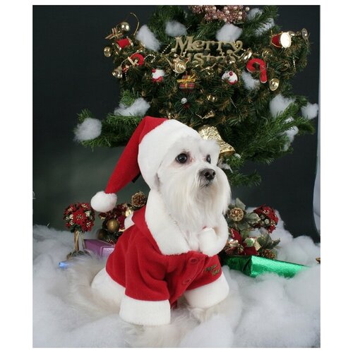 фото Куртка для собак puppia с капюшоном новогодняя "santa", красная, 4l, 55см (южная корея)