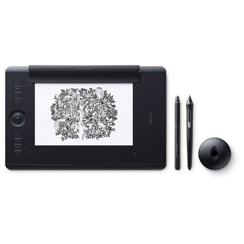 фото Графический планшет WACOM Intuos Pro Medium Paper Edition (PTH-660P) + Corel Painter 2020 черный российская