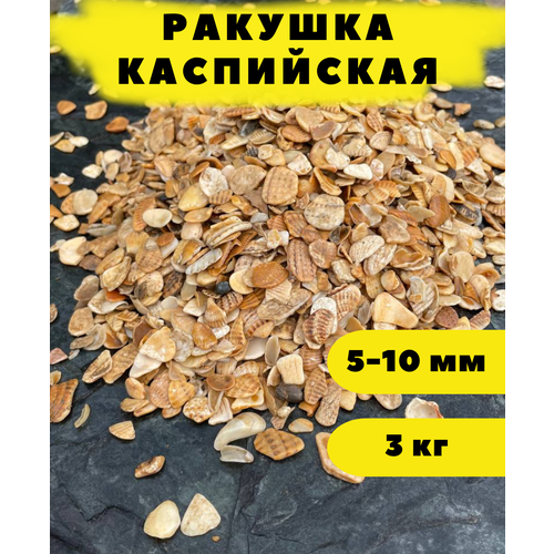 Ракушка Каспийская, 5-10 мм, 3 кг галька для аквариума каспийская ракушка 5 10мм 6кг