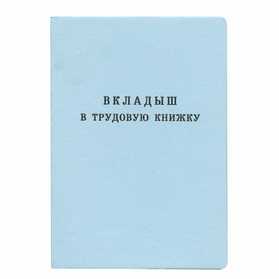 Бланк документа "Вкладыш в трудовую книжку", 88х125 мм, гознак, 120187