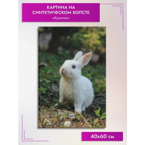 Картина интерьерная Кролик на синтетическом холсте, 40х60 см