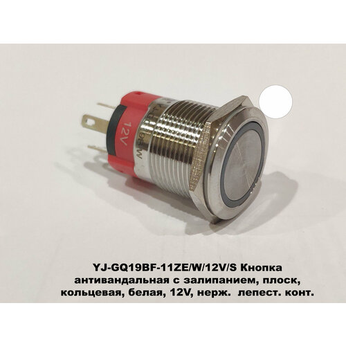 YJ-GQ19BF-11ZE/W/12V/S Кнопка антивандальная с залипанием, плоск, кольцевая, белая, 12V, нерж. лепест. конт.