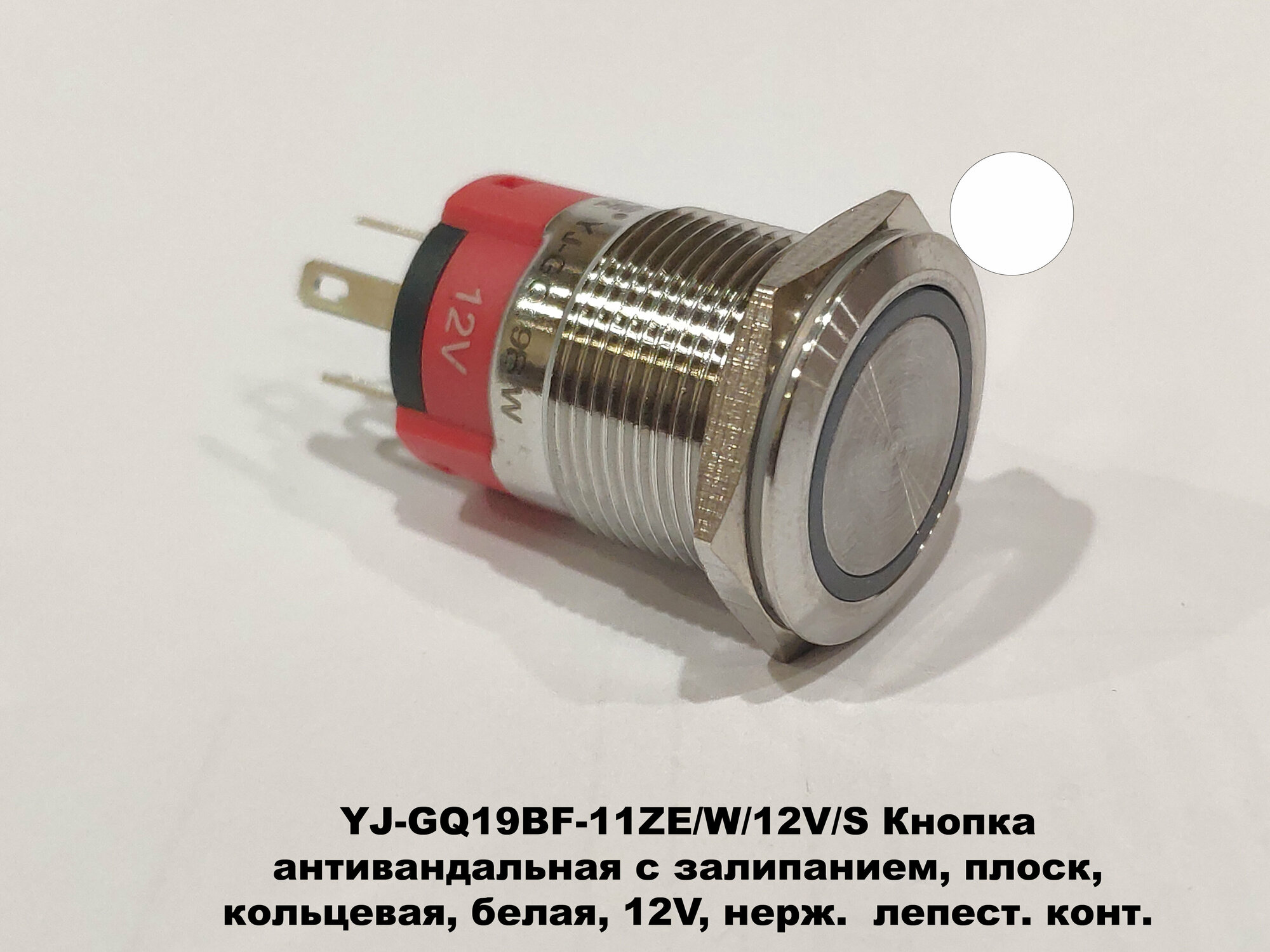 YJ-GQ19BF-11ZE/W/12V/S Кнопка антивандальная с залипанием, плоск, кольцевая, белая, 12V, нерж. лепест. конт. - фотография № 1