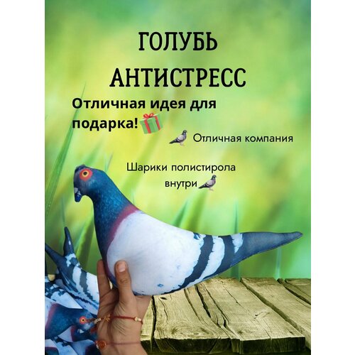 Голубь Антистресс поп ит уточка мялка тянучка жмякалка антистресс симпл димпл брелок сквиш фуфлик