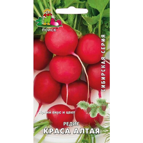 Редис Поиск Краса Алтая 3г