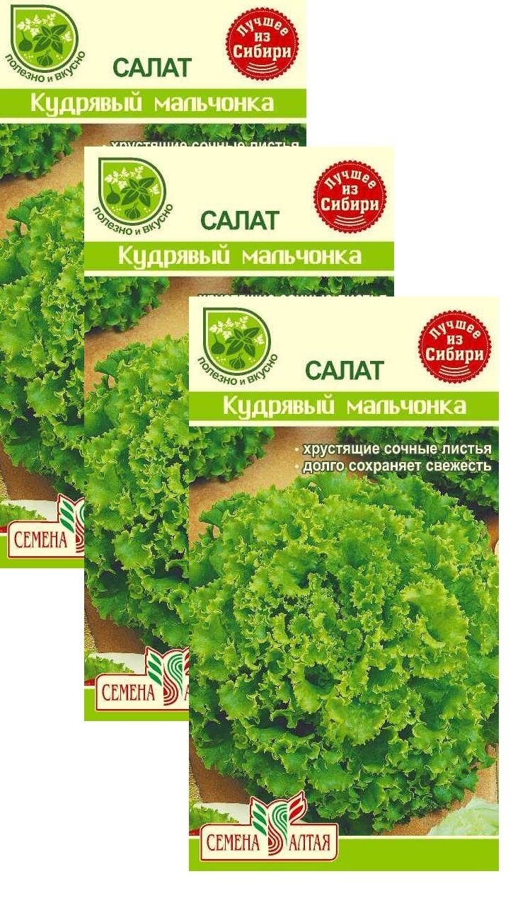 Семена Салат листовой Кудрявый Мальчонка 0,5 г (Семена Алтая) , 3 пакетика * 0,5 г