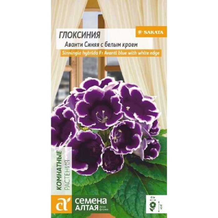 фото Глоксиния Аванти Синяя с белым краем F1 8шт. (Семена Алтая). Для выращивания в домашних условиях: в горшке, на балконе или подоконнике