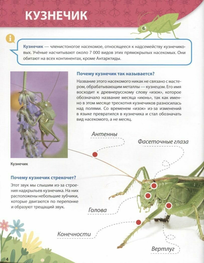 Всё о насекомых малышам (Ктиторова Екатерина (редактор)) - фото №17