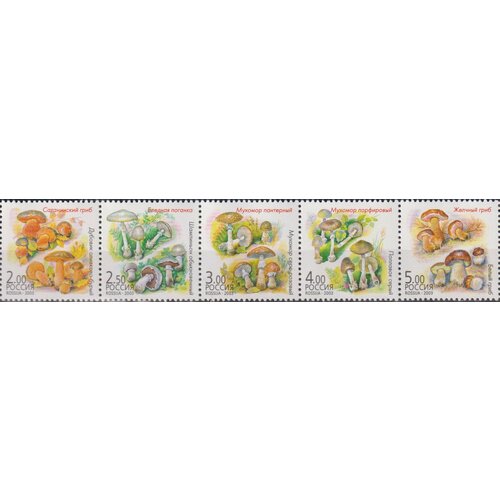 Почтовые марки Россия 2003г. Грибы-двойники Грибы MNH