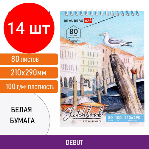 Комплект 14 шт, Скетчбук белая бумага 100 г/м2 200х290 мм, 80 л, гребень, твердая обложка, BRAUBERG ART DEBUT, 112987