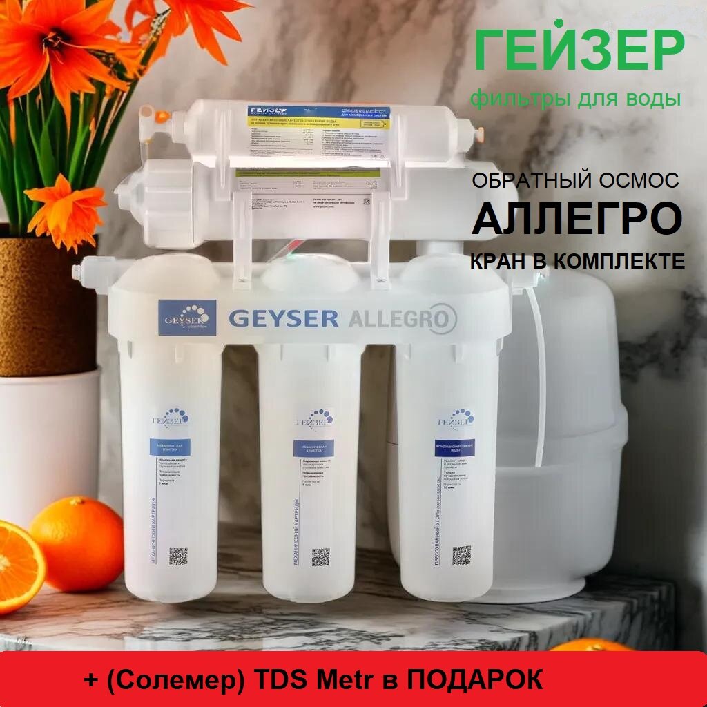 Гейзер Аллегро + подарок TDS Metr