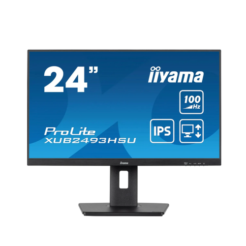 Монитор Iiyama ProLite XUB2493HSU-B6 черный 1687100₽