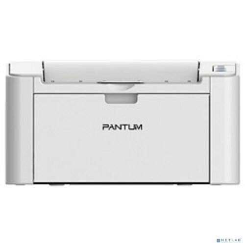 Pantum Pantum P2200 Принтер Mono Laser А4 20 стрмин 1200 X 1200 dpi 128Мб RAM лоток 150 листов USB серый корпус 1608300₽