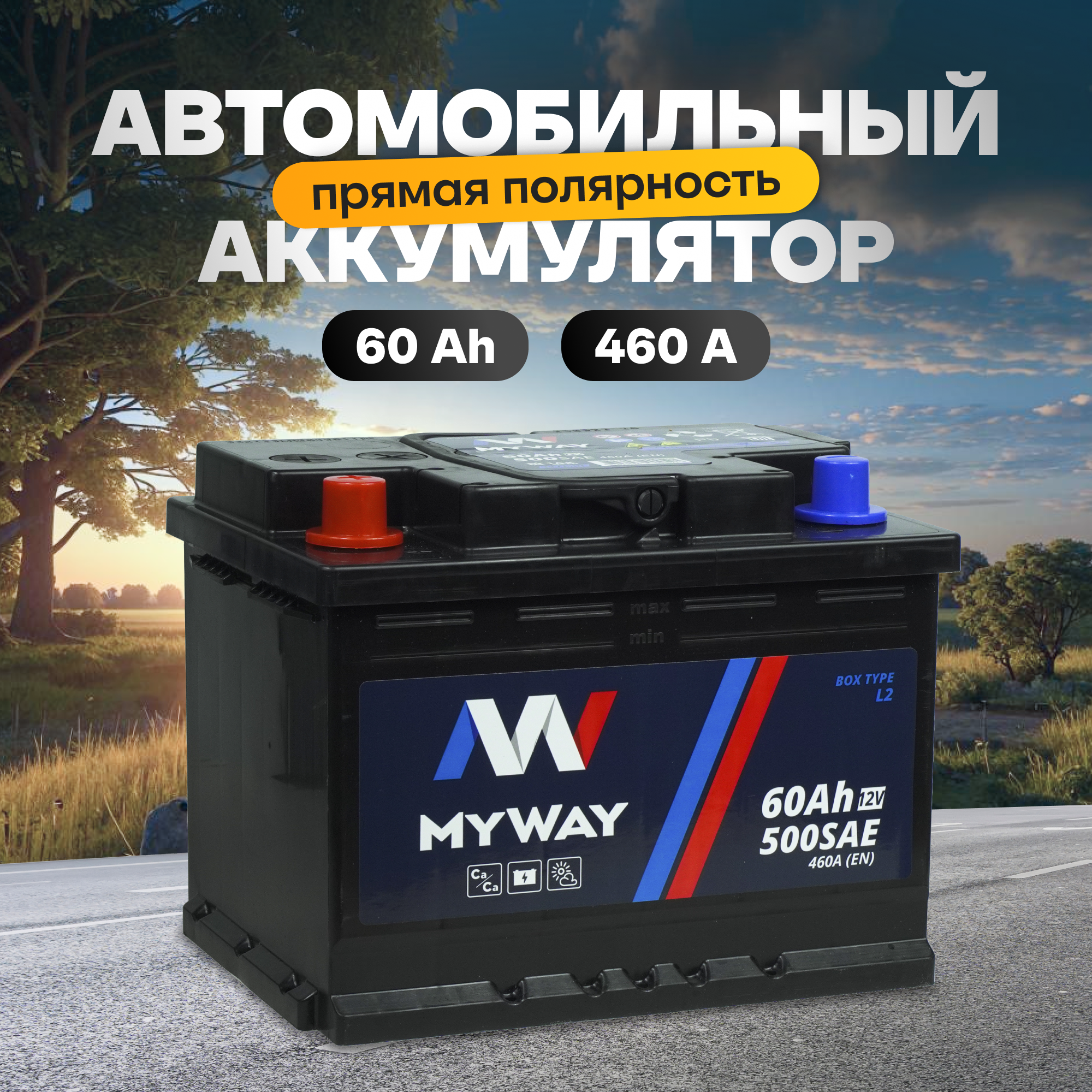 Аккумулятор автомобильный 12v 60 Ah MYWAY 60 Ач 460 А прямая полярность 242x175x190 стартерный акб для автомобиля, машины