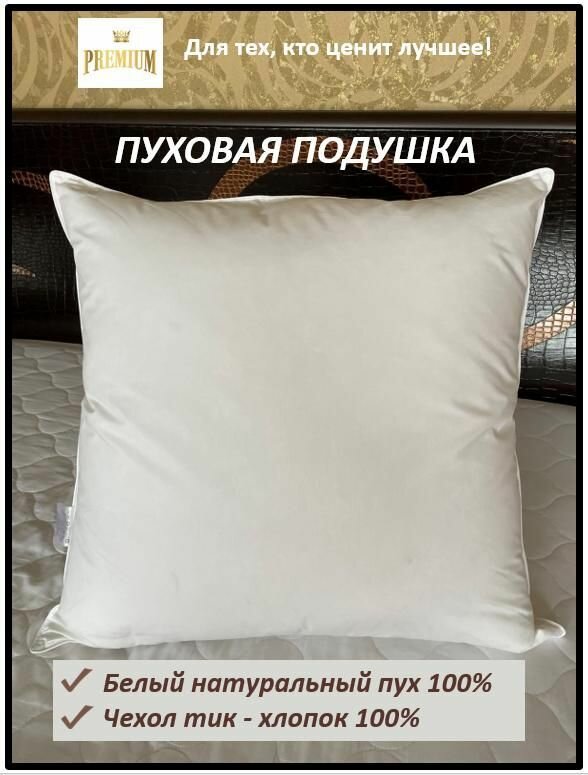 Подушка "Рекорд", натуральный белый пух, 70х70, чехол хлопок 100%