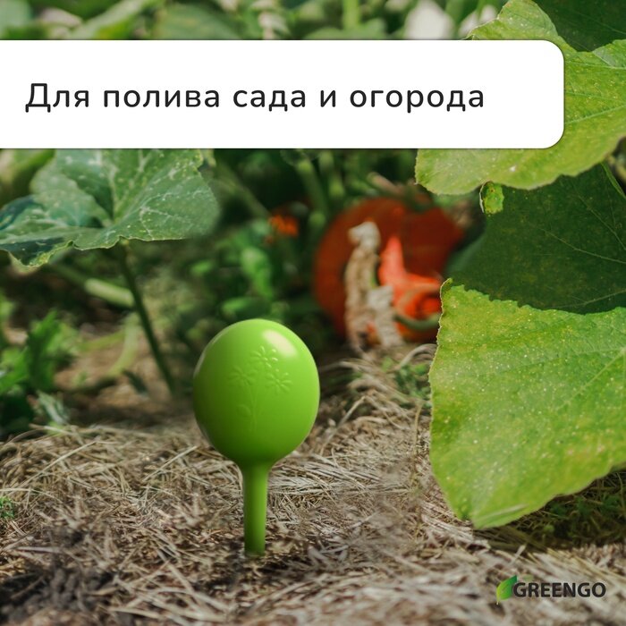 Автополив Для Домашних Растений Автополив для комнатных растений, 380 мл, зелёный, 2 шт, пластиковый, высота 28 см, Greengo