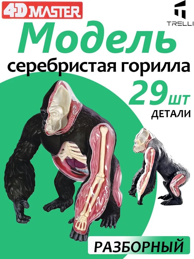 Модель животного/ Развивающая игрушка/может быть использована для обучения детей / Анатомия животных для детей