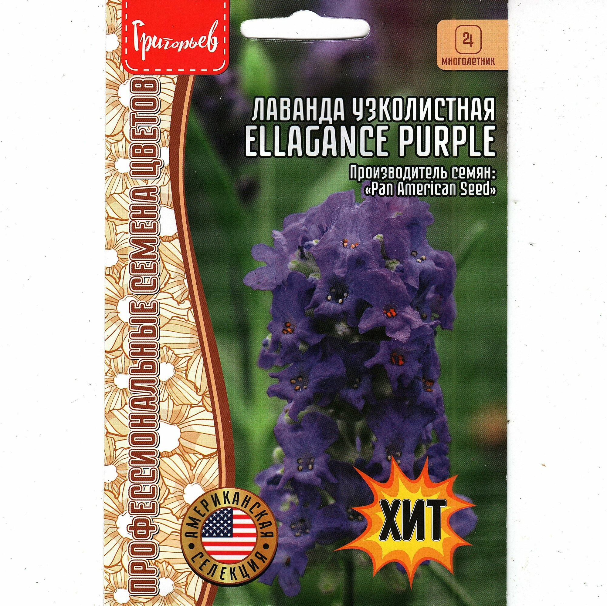 Лаванда узколистная компактная/ ELLAGANCE PURPLE ( 1 уп : 5 семян )