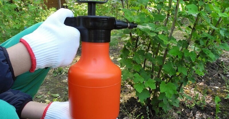 Средство "Агролекарь" 2 мл (1шт) для эффективного лечения и защиты садовых и ягодных культур от болезней