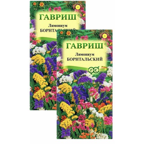 Лимониум выемчатый (кермек) Борнтальский (смесь), 2 пакета, семена 0,1 гр, Гавриш