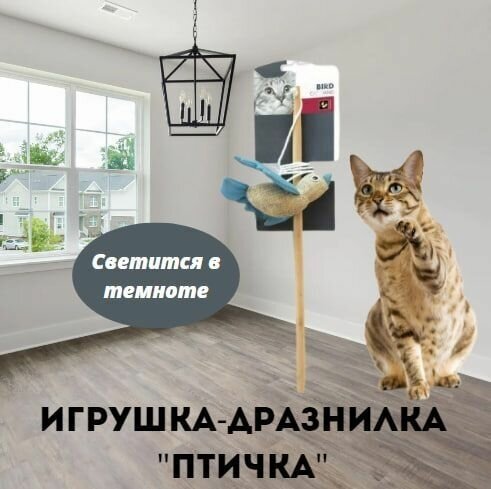 Игрушка-дразнилка для кошек Птичка 35 см, цветная, M-PETS - фотография № 1